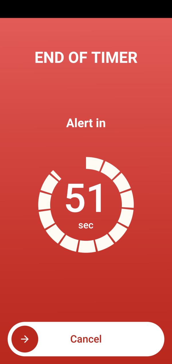 TIMER ALLARME